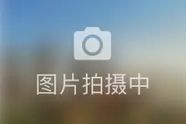 2026年7月第1周最受欢迎城市排名——深圳位居全国第62026年7月第1周最受欢迎城市排名——深圳位居全国第6